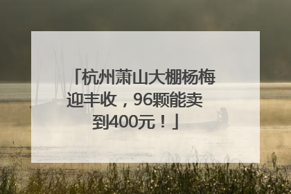 杭州萧山大棚杨梅迎丰收，96颗能卖到400元！