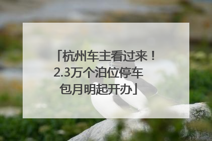 杭州车主看过来！2.3万个泊位停车包月明起开办