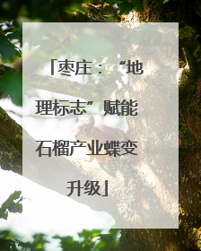 枣庄：“地理标志”赋能石榴产业蝶变升级