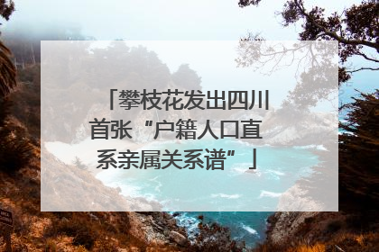 攀枝花发出四川首张“户籍人口直系亲属关系谱”