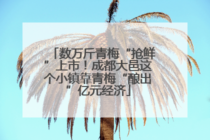 数万斤青梅“抢鲜”上市！成都大邑这个小镇靠青梅“酿出”亿元经济