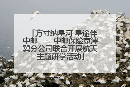 方寸纳星河 星途伴中邮——中邮保险京津冀分公司联合开展航天主题研学活动