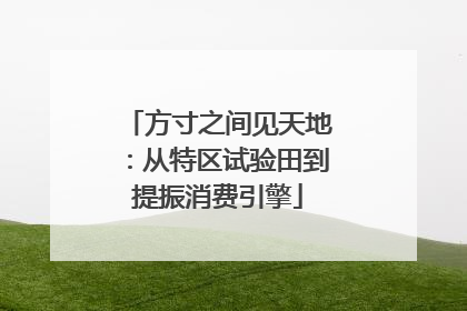 方寸之间见天地：从特区试验田到提振消费引擎