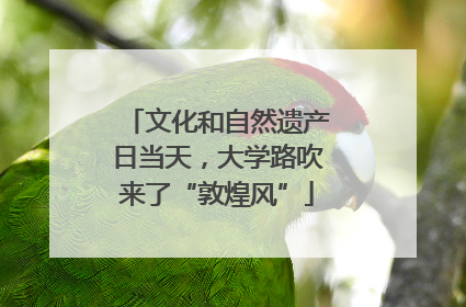 文化和自然遗产日当天，大学路吹来了“敦煌风”