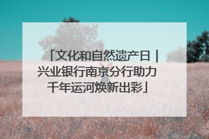 文化和自然遗产日｜兴业银行南京分行助力千年运河焕新出彩