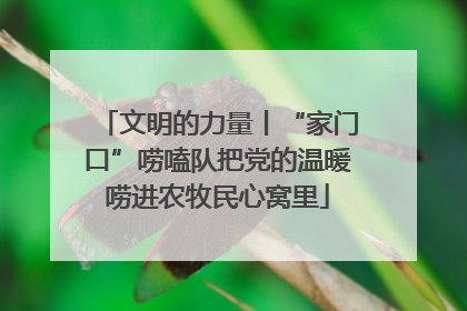 文明的力量丨“家门口”唠嗑队把党的温暖唠进农牧民心窝里