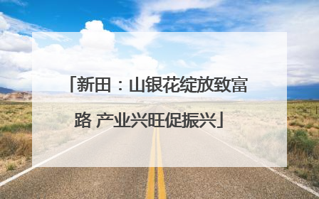 新田：山银花绽放致富路 产业兴旺促振兴