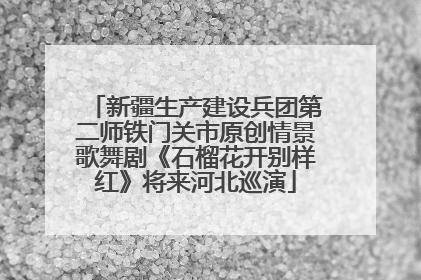新疆生产建设兵团第二师铁门关市原创情景歌舞剧《石榴花开别样红》将来河北巡演