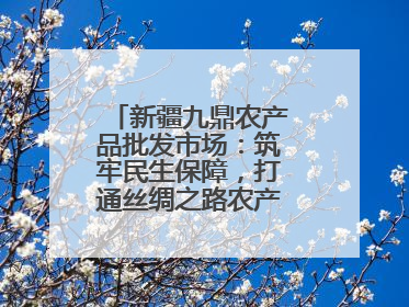 新疆九鼎农产品批发市场：筑牢民生保障，打通丝绸之路农产品贸易枢纽