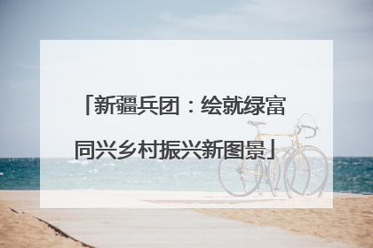 新疆兵团：绘就绿富同兴乡村振兴新图景
