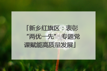 新乡红旗区：表彰 “两优一先” 专题党课赋能高质量发展