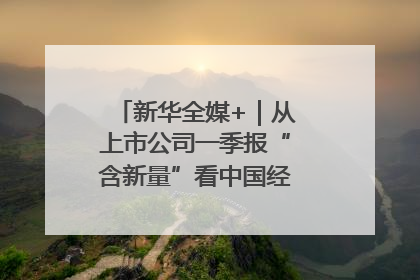 新华全媒+｜从上市公司一季报“含新量”看中国经济发展向“新”