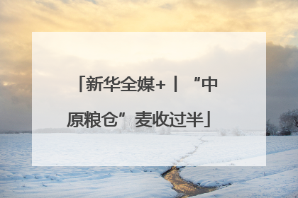 新华全媒+丨“中原粮仓”麦收过半