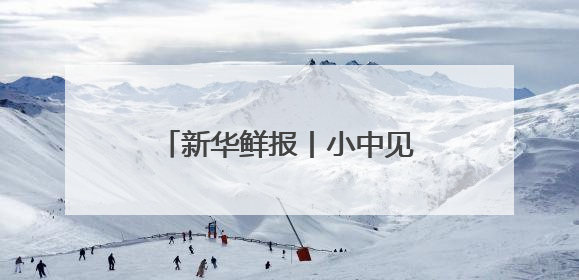 新华鲜报丨小中见大！这个博览会专为全球中小企业搭台