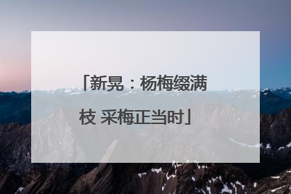 新晃：杨梅缀满枝 采梅正当时