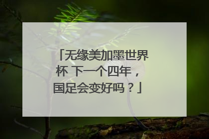 无缘美加墨世界杯 下一个四年，国足会变好吗？