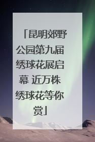 昆明郊野公园第九届绣球花展启幕 近万株绣球花等你赏