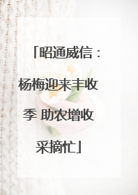 昭通威信：杨梅迎来丰收季 助农增收采摘忙
