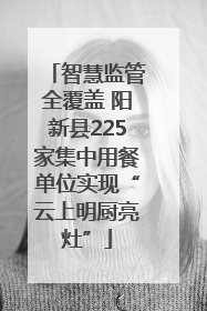 智慧监管全覆盖 阳新县225家集中用餐单位实现“云上明厨亮灶”