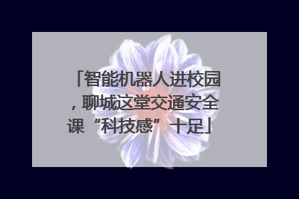 智能机器人进校园，聊城这堂交通安全课“科技感”十足