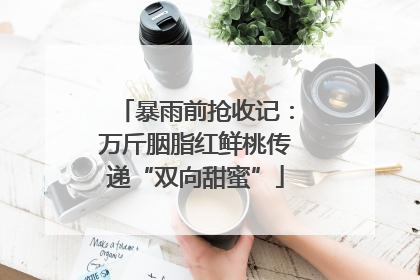 暴雨前抢收记：万斤胭脂红鲜桃传递“双向甜蜜”