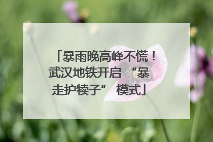 暴雨晚高峰不慌！武汉地铁开启 “暴走护犊子” 模式