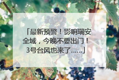 最新预警！影响瑞安全域，今晚不要出门！3号台风也来了……