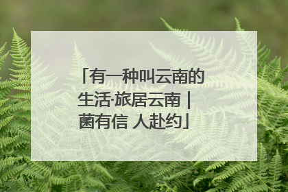 有一种叫云南的生活·旅居云南｜菌有信 人赴约