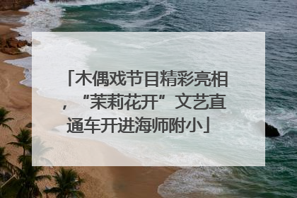 木偶戏节目精彩亮相，“茉莉花开”文艺直通车开进海师附小