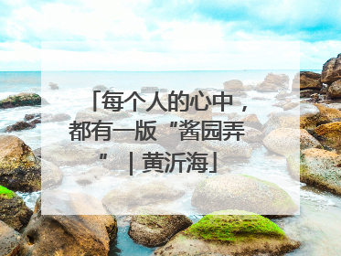 每个人的心中，都有一版“酱园弄”｜黄沂海