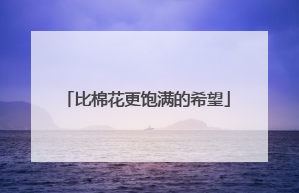 比棉花更饱满的希望