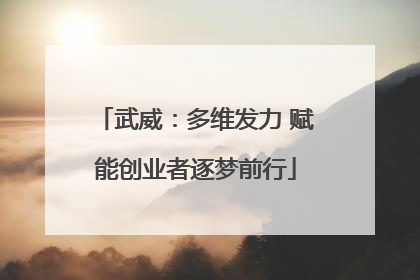 武威：多维发力 赋能创业者逐梦前行