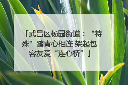 武昌区杨园街道：“特殊”踏青心相连 架起包容友爱“连心桥”