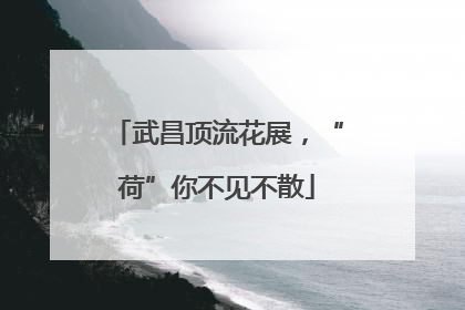武昌顶流花展，“荷”你不见不散