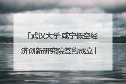 武汉大学·咸宁低空经济创新研究院签约成立