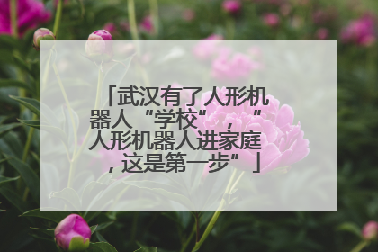 武汉有了人形机器人“学校”,“人形机器人进家庭,这是第一步”