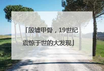 殷墟甲骨，19世纪震惊于世的大发现