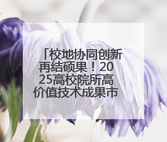 校地协同创新再结硕果！2025高校院所高价值技术成果市内转化专项行动暨技术成果项目路演对接会举办