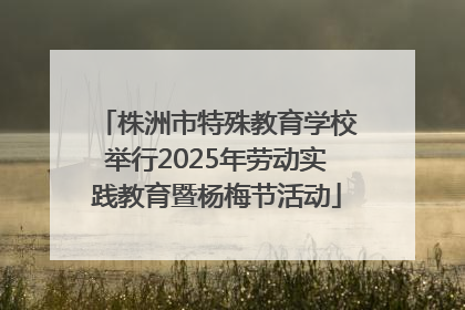 株洲市特殊教育学校举行2025年劳动实践教育暨杨梅节活动