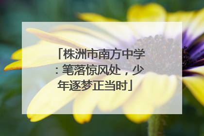 株洲市南方中学：笔落惊风处，少年逐梦正当时