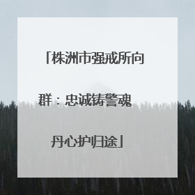 株洲市强戒所向群：忠诚铸警魂 丹心护归途