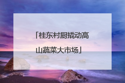 桂东村厨撬动高山蔬菜大市场