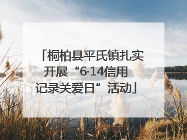 桐柏县平氏镇扎实开展“6·14信用记录关爱日”活动