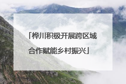 桦川积极开展跨区域合作赋能乡村振兴