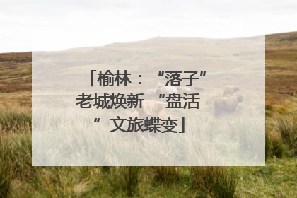 榆林：“落子”老城焕新 “盘活”文旅蝶变
