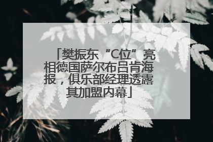 樊振东“C位”亮相德国萨尔布吕肯海报，俱乐部经理透露其加盟内幕