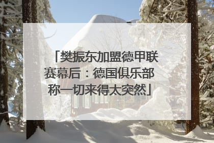 樊振东加盟德甲联赛幕后：德国俱乐部称一切来得太突然