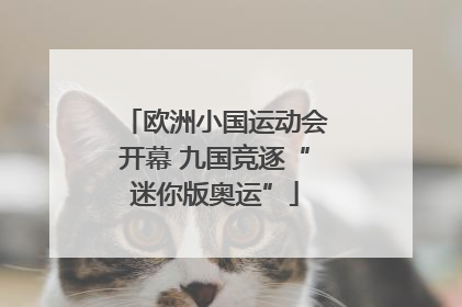 欧洲小国运动会开幕 九国竞逐“迷你版奥运”