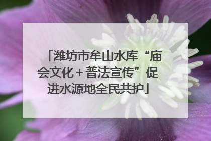 潍坊市牟山水库“庙会文化＋普法宣传”促进水源地全民共护