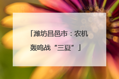 潍坊昌邑市：农机轰鸣战“三夏”